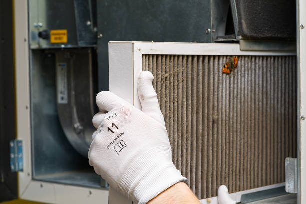 Best Commercial Air Duct Cleaning  in Waterloo, NE