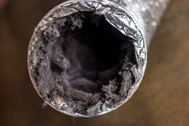 Best Professional Duct Cleaning Services  in Waterloo, NE