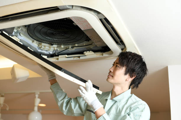 Best Affordable Air Duct Cleaning  in Waterloo, NE