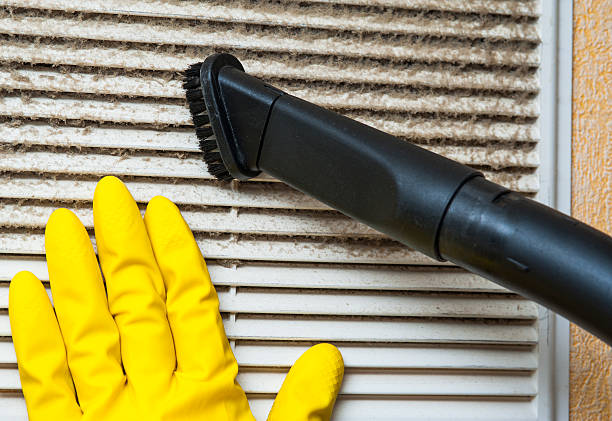 Best Ductwork Cleaning Services  in Waterloo, NE
